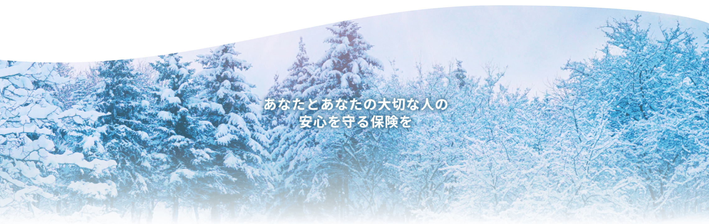 あなたとあなたの大切な人の安心を守る保険を