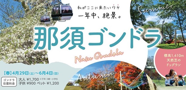 2022ジーンズグリーン